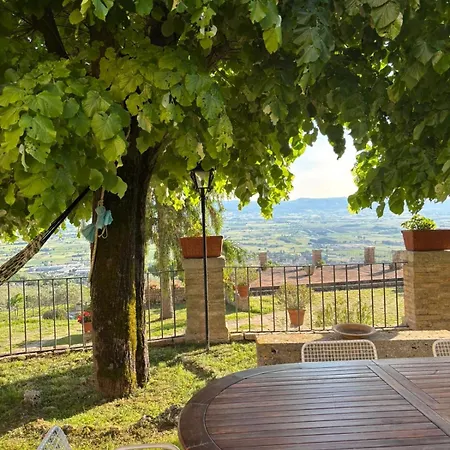 Gabbiano * Capodacqua