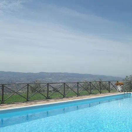 Gabbiano * Capodacqua (Assisi)