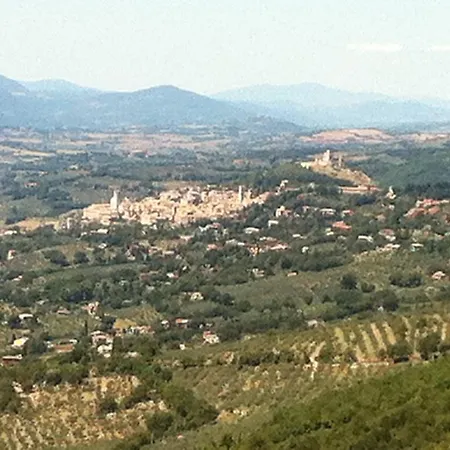 Gabbiano