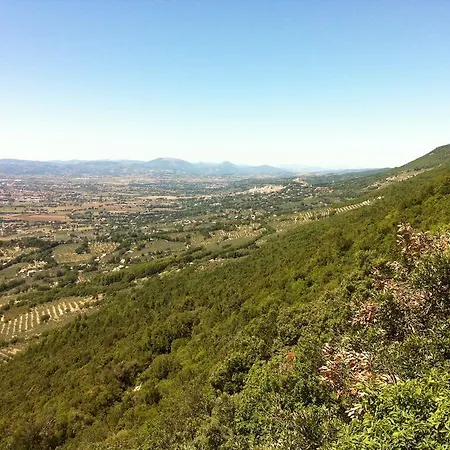 Gabbiano *