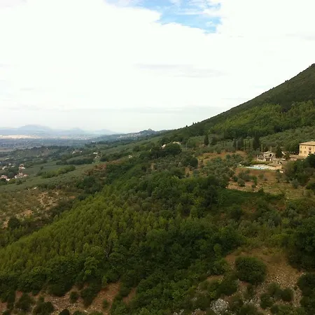Gabbiano