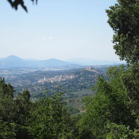 Gabbiano Capodacqua (Assisi)